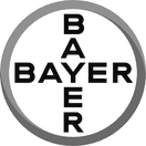 Bayer